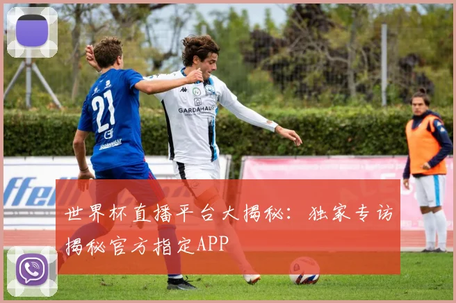 世界杯直播平台大揭秘：独家专访揭秘官方指定APP
