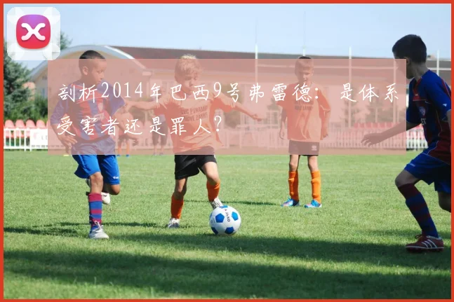 剖析2014年巴西9号弗雷德：是体系受害者还是罪人？
