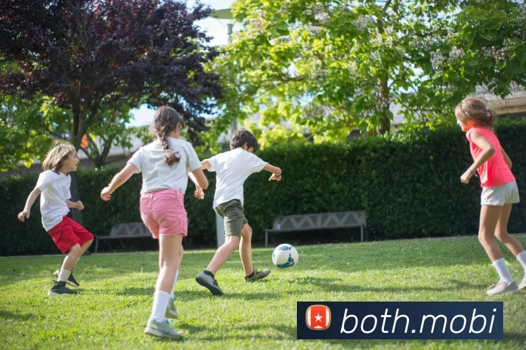 开云手机入口官方网站服务体系